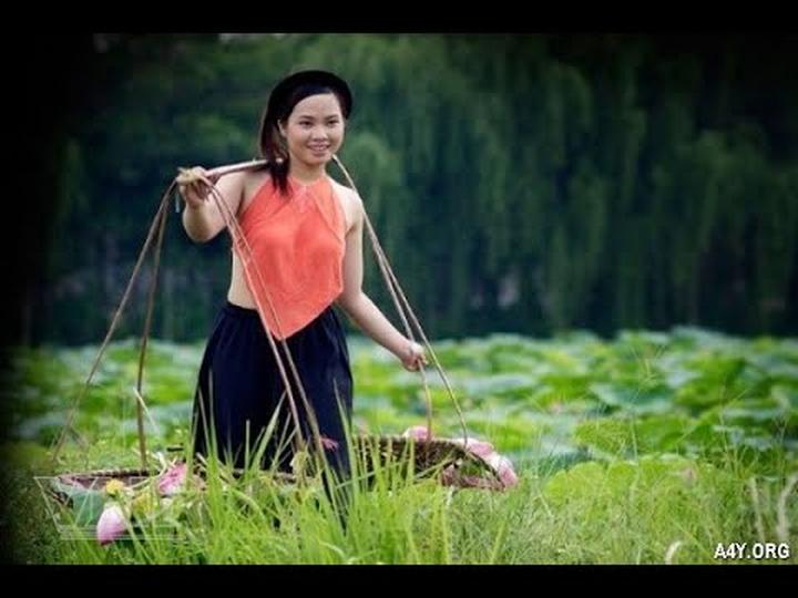 Forestival 2025 và Hotspot Matrix: Một sự kiện video ngắn độc đáo
