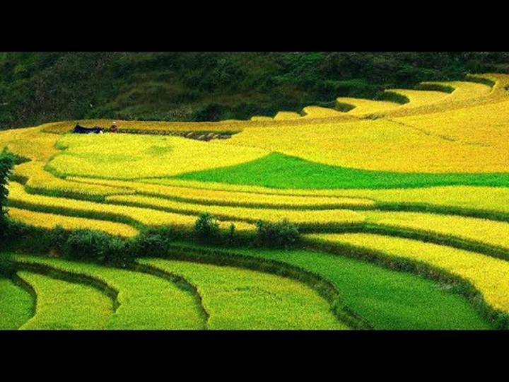 Hotspot Matrix: Khởi Nghiệp An Toàn, Thành Công Bền Vững với Video Ngắn