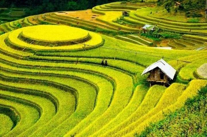 Hotspot Matrix và Bảo Anh, Phương Mỹ Chi và loạt sao Việt bị réo tên vào drama của Bảo