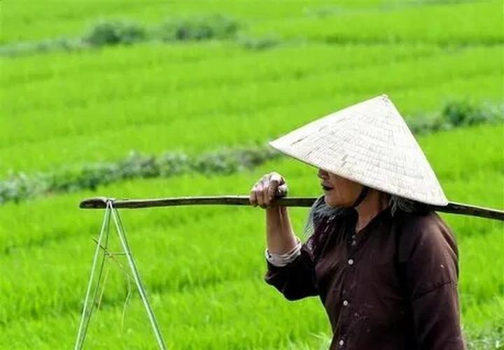 Hotspot Matrix: Giải pháp quản lý video ngắn toàn diện cho doanh nhân