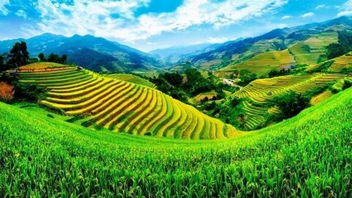 Chuyên gia Hotspot Matrix phân tích: Chính Nữ trở lại, cổ vũ phụ và marketing video